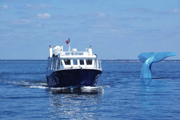 Découvrez les meilleures croisières en pinasse à Arcachon