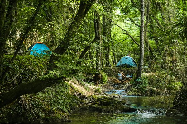 Quels sont les équipements indispensables pour un camping en région de forêt tropicale humide?